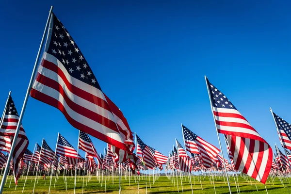 Un gran numero di bandiere americane. Esposizione di giorno di Veterani o Memorial — Foto Stock