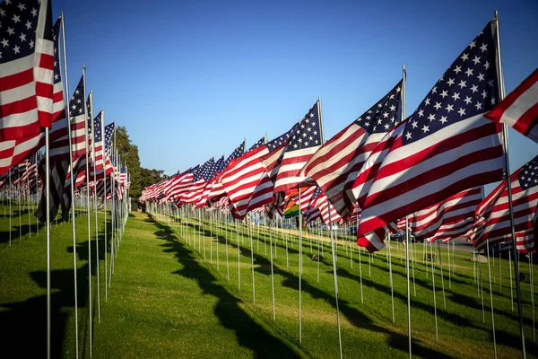 Un gran numero di bandiere americane. Esposizione di giorno di Veterani o Memorial — Foto Stock