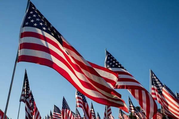 Un grand groupe de drapeaux américains. Exposition d'anciens combattants ou de jour commémoratif — Photo