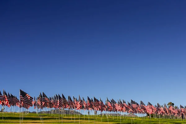 Un gran grupo de banderas americanas. Expositor de veteranos o Memorial Day — Foto de Stock