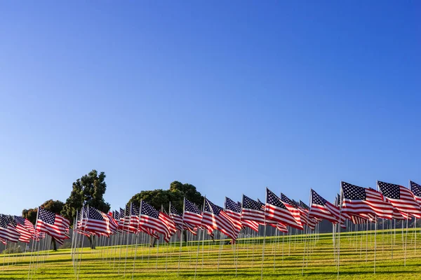 Un gran grupo de banderas americanas. Expositor de veteranos o Memorial Day — Foto de Stock