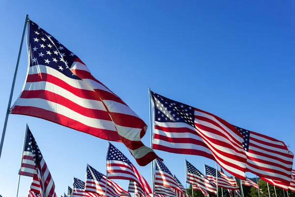 Um grande grupo de bandeiras americanas. Veteranos ou exibição do dia Memorial — Fotografia de Stock