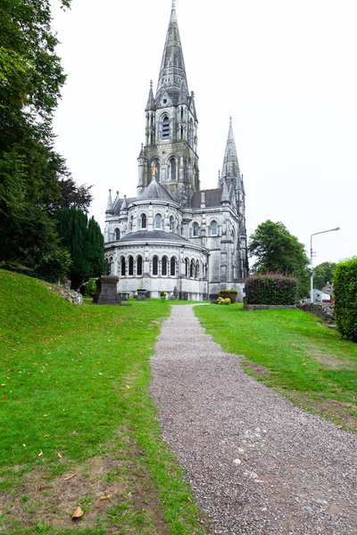 Cathédrale Saint Fin Barres Cork Irlande Europe — Photo