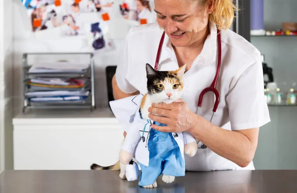 Clinica veterinaria con gattino — Foto Stock