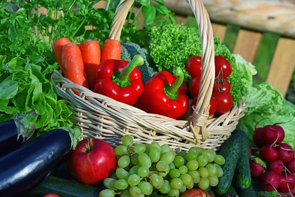 Variedade Legumes Orgânicos Frescos Cesta Vime — Fotografia de Stock