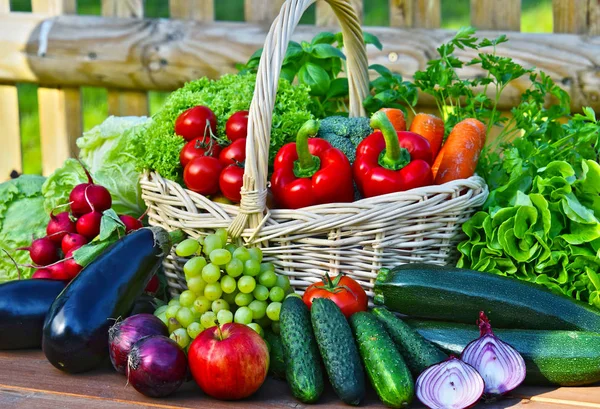 Vielfalt Frischem Bio Gemüse Weidenkorb — Stockfoto
