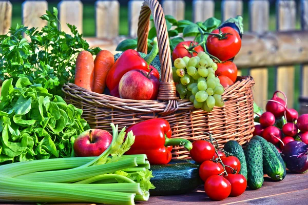 柳条篮中新鲜有机蔬菜的种类 — 图库照片