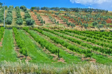 Manzaralı Calabria, İtalya.