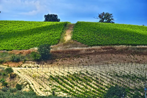 Veduta Panoramica Della Calabria Italia — Foto Stock