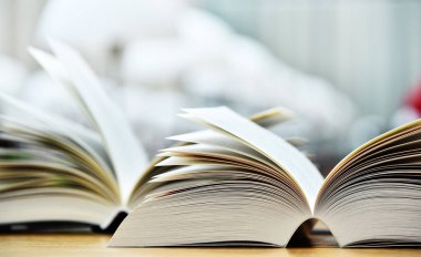 Kitaplar Halk Kütüphanesi tablo.
