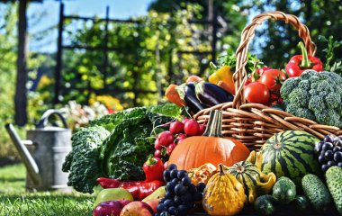 Bahçede taze organik sebzeler ve meyveler var. Dengeli diyet