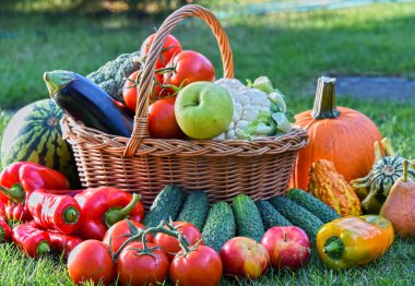 Bahçede taze organik sebzeler ve meyveler var. Dengeli diyet