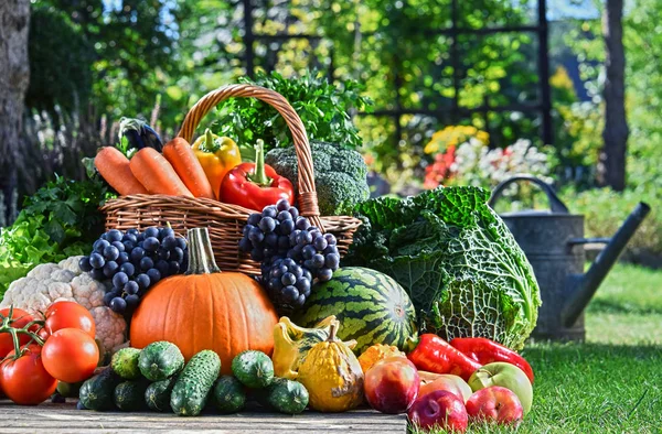 Bahçede taze organik sebzeler ve meyveler var. Dengeli diyet