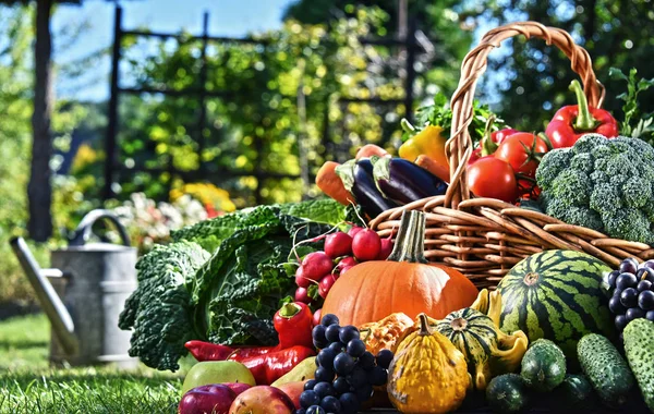 Bahçede taze organik sebzeler ve meyveler var. Dengeli diyet