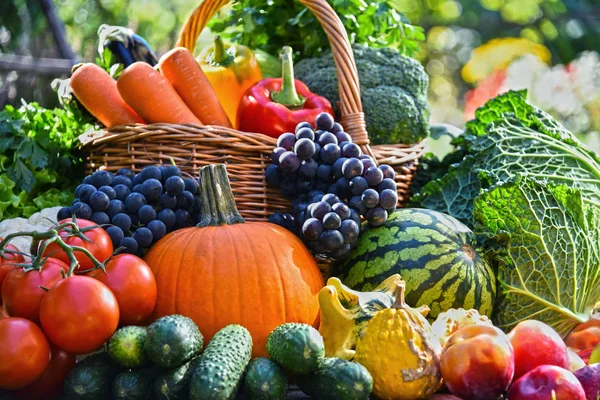 Bahçede taze organik sebzeler ve meyveler var. Dengeli diyet
