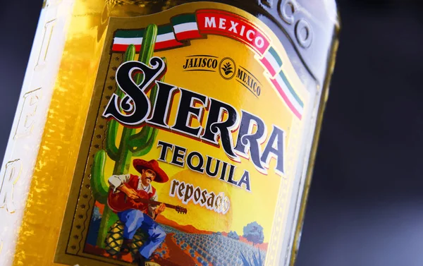 Poznan Pol Jun 2018 Bottle Sierra Tequila Brand Liquor Belonging — Stock Photo, Image