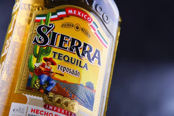 Poznan Pol Jun 2018 Botella Sierra Tequila Marca Licor Perteneciente —  Fotos de Stock