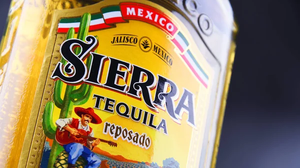 Poznan Pol Jun 2018 Botella Sierra Tequila Marca Licor Perteneciente —  Fotos de Stock