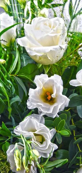 切花の花束と構成 — ストック写真