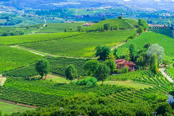 Viñedos Provincia Cuneo Piamonte Italia — Foto de Stock