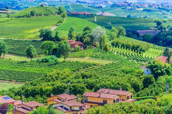 Viñedos Provincia Cuneo Piamonte Italia — Foto de Stock