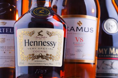Poznan, Pol - 27 Eylül, 2018: Şişe Martell, Camus, Hennessy ve Remy Martin gibi ünlü Konyak markaları.