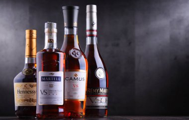 Poznan, Pol - 27 Eylül, 2018: Şişe Martell, Camus, Hennessy ve Remy Martin gibi ünlü Konyak markaları.