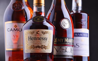 Poznan, Pol - 27 Eylül, 2018: Şişe Martell, Camus, Hennessy ve Remy Martin gibi ünlü Konyak markaları.