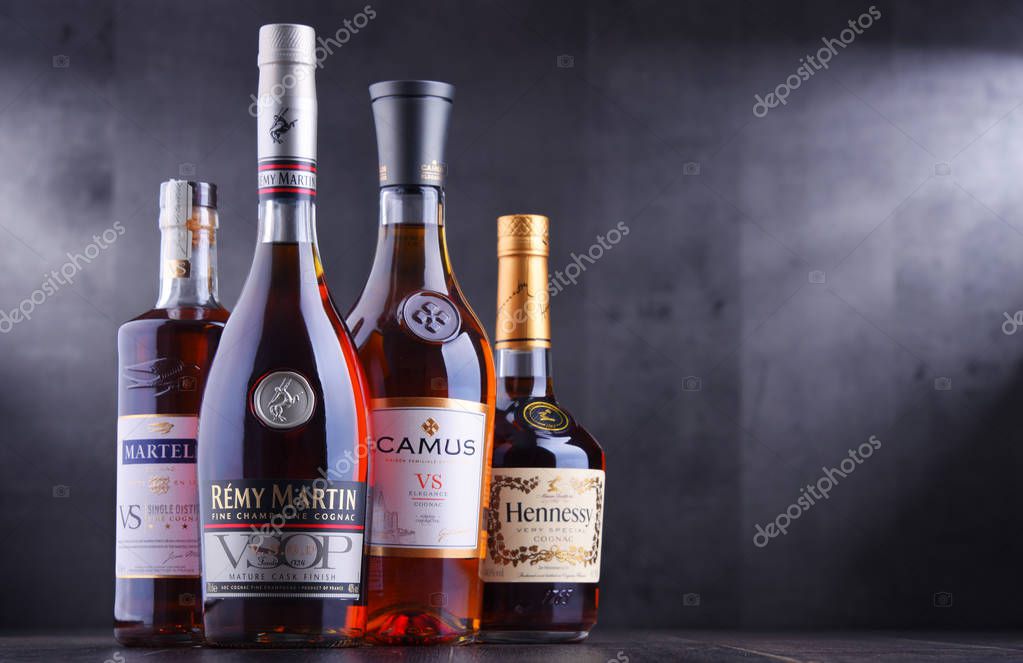 POZNAN, POL - SEP 27, 2018: Bottles of famous Cognac brands including Martell, Camus, Hennessy and Remy Martin.