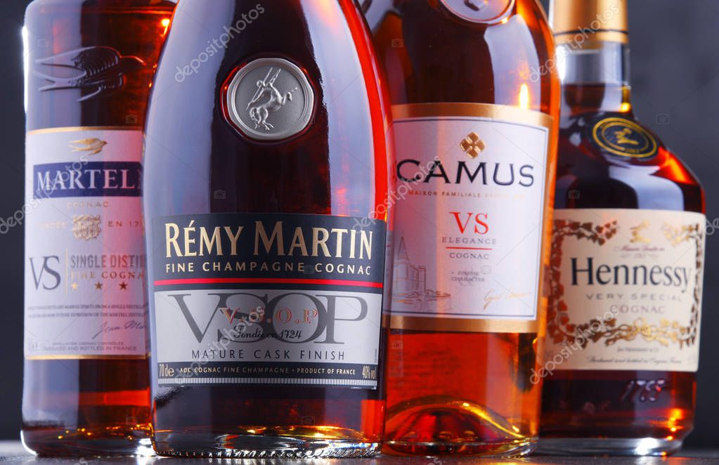 POZNAN, POL - SEP 27, 2018: Bottles of famous Cognac brands including Martell, Camus, Hennessy and Remy Martin.