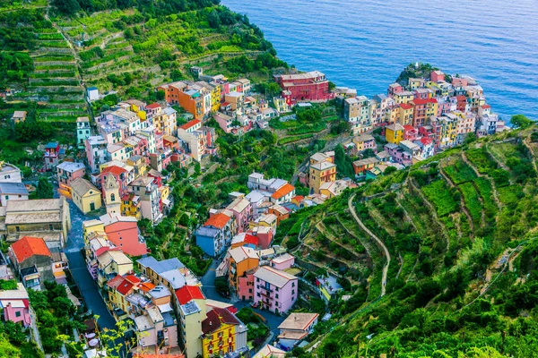 Pitoresk Kasaba Manarola Spezia Liguria Talya Nın Ili — Stok fotoğraf