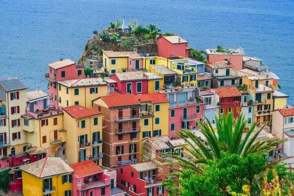 Pintoresca Ciudad Manarola Provincia Spezia Liguria Italia —  Fotos de Stock