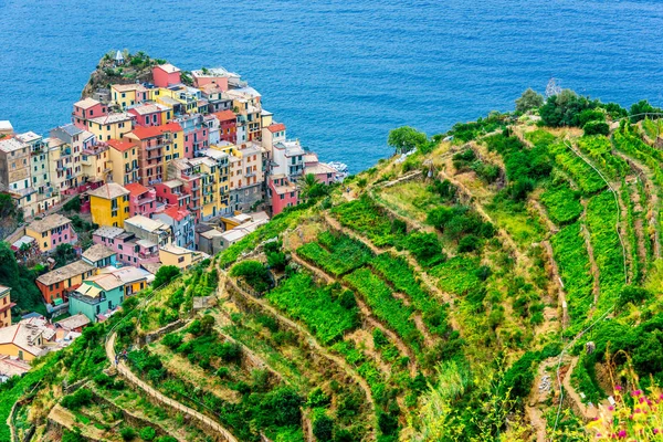 Malowniczej Miejscowości Manarola Prowincji Spezia Liguria Włochy — Zdjęcie stockowe