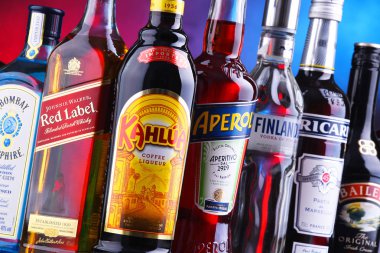 Poznan, Polonya - 16 Kasım 2018: Şişe viski, votka, cin, konyak ve likör de dahil olmak üzere çeşitli küresel içki markaları