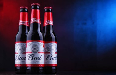 Poznan, Pol - 29 Kasım 2018: Bud bira şişesi, bir Amerikan tarzı Anheuser-Busch, St. Louis, Missouri'de 1876 yılında tanıtılan tarafından üretilen lager soluk.