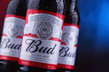 Poznan, Pol - 29 Kasım 2018: Bud bira şişesi, bir Amerikan tarzı Anheuser-Busch, St. Louis, Missouri'de 1876 yılında tanıtılan tarafından üretilen lager soluk.