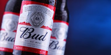 Poznan, Pol - 29 Kasım 2018: Bud bira şişesi, bir Amerikan tarzı Anheuser-Busch, St. Louis, Missouri'de 1876 yılında tanıtılan tarafından üretilen lager soluk.