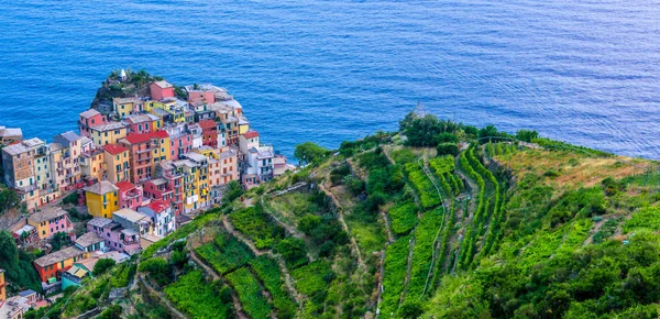 Cidade Pitoresca Manarola Província Spezia Ligúria Itália — Fotografia de Stock