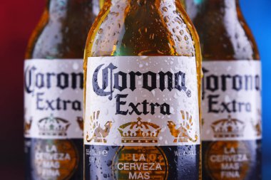 Poznan, Pol - 24 Ocak 2019: Şişeler, Corona ilave, dünya çapında en çok satan bira, Cerveceria Modelo Meksika tarafından üretilen bir soluk lager