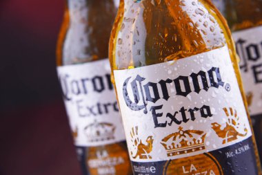 Poznan, Pol - 24 Ocak 2019: Şişeler, Corona ilave, dünya çapında en çok satan bira, Cerveceria Modelo Meksika tarafından üretilen bir soluk lager