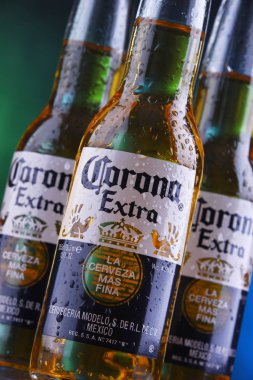 Poznan, Pol - 24 Ocak 2019: Şişeler, Corona ilave, dünya çapında en çok satan bira, Cerveceria Modelo Meksika tarafından üretilen bir soluk lager