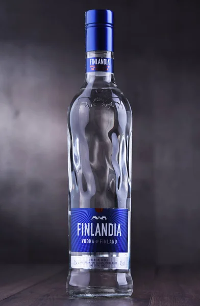 Poznań Pol Jan 2019 Butelka Finlandia Marka Fińska Wódki Własnością — Zdjęcie stockowe