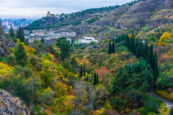 Вид Ботанического Сада Тбилиси Грузия — стоковое фото
