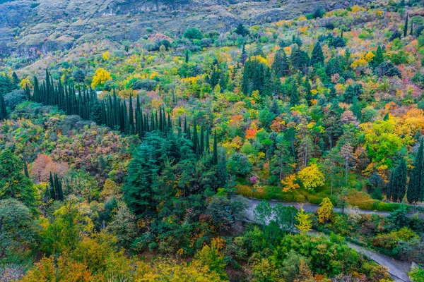 Utsikt Över Botaniska Trädgården Tblilisi Georgien — Stockfoto