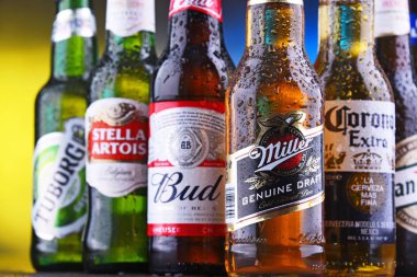 Ünlü küresel bira markalarının şişe