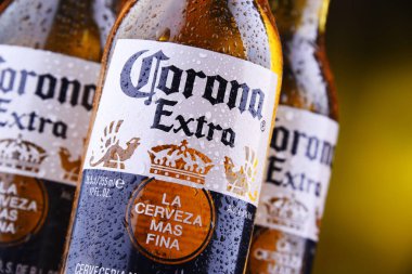Corona ekstra bira şişeleri