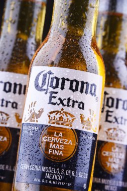 Corona ekstra bira şişeleri