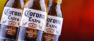 Corona ekstra bira şişeleri