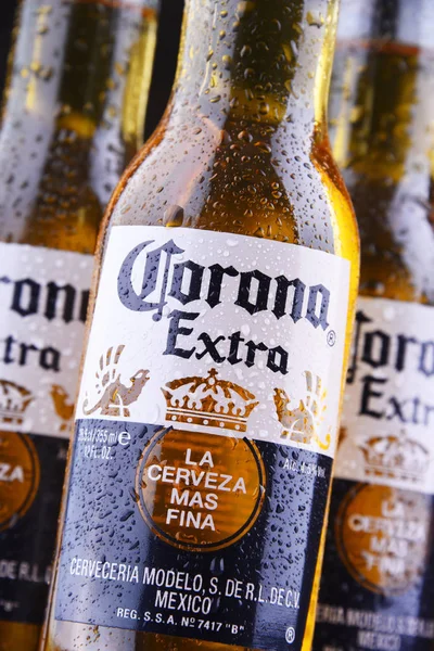 Botellas de cerveza Corona Extra —  Fotos de Stock