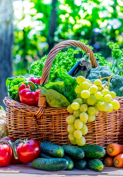 Різноманітність свіжих органічних овочів і фруктів в саду — стокове фото